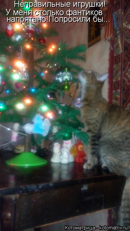 Неправильные игрушки! У меня столько фантиков напрятано!Попросили бы...... Котоматрица: Неправильные игрушки! У меня столько фантиков напрятано!Попросили бы...