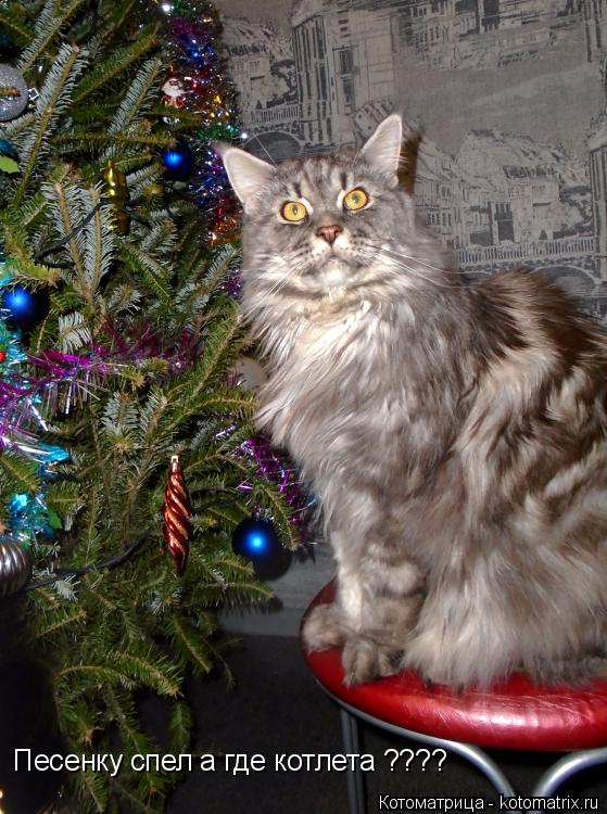 Котоматрица: Песенку спел а где котлета ????