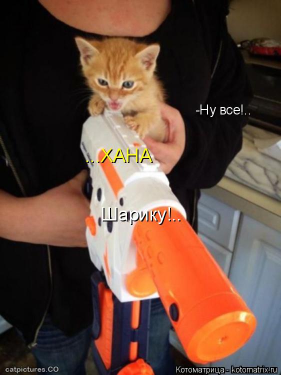 -Ну все!.. ...ХАНА Шарику!..... Котоматрица: -Ну все!.. ...ХАНА Шарику!..