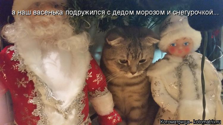 а наш васенька подружился с дедом морозом и снегурочкой...... Котоматрица: а наш васенька подружился с дедом морозом и снегурочкой...