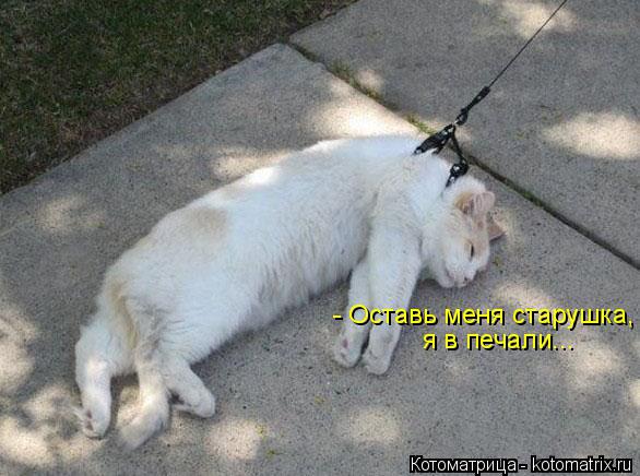 - Оставь меня старушка, я в печали...... Котоматрица: - Оставь меня старушка, я в печали...