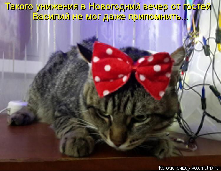 Такого унижения в Новогодний вечер от гостей Василий не мог даже припомнить...... Котоматрица: Такого унижения в Новогодний вечер от гостей Василий не мог даже припомнить...