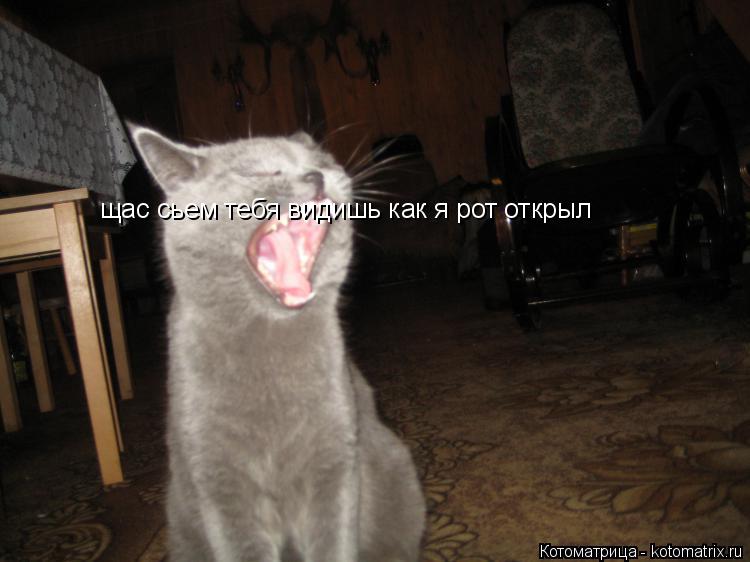 щас сьем тебя видишь как я рот открыл... Котоматрица: щас сьем тебя видишь как я рот открыл