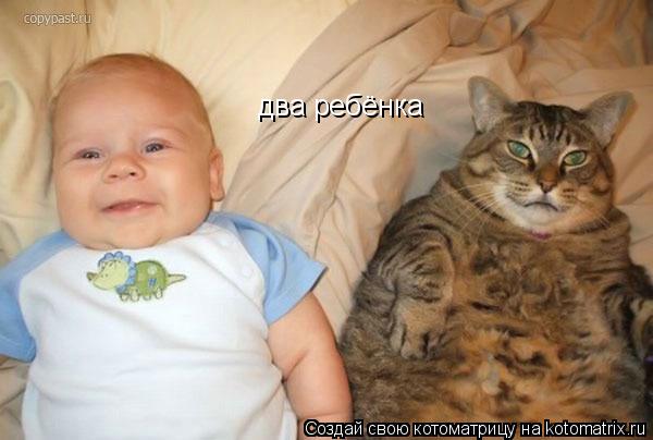 два ребёнка... Котоматрица: два ребёнка