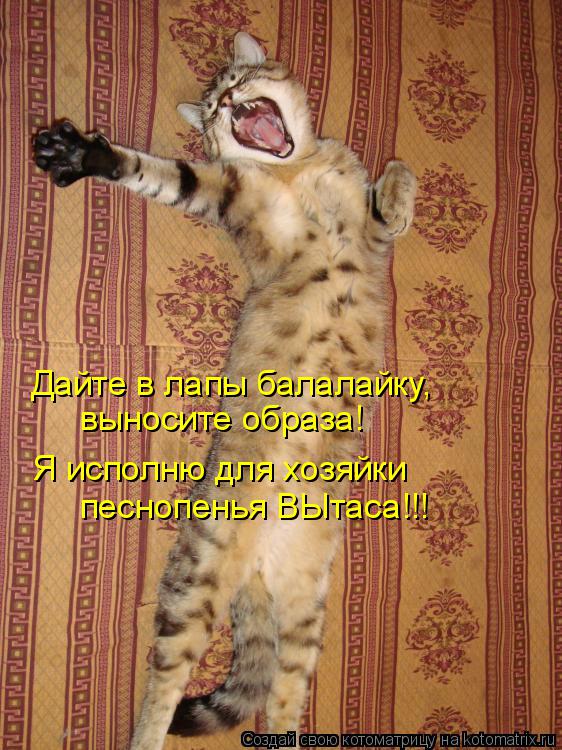 Дайте в лапы балалайку, Я исполню для хозяйки выносите образа! песнопенья ВЫтаса!!!... Котоматрица: Дайте в лапы балалайку, Я исполню для хозяйки выносите образа! песнопенья ВЫтаса!!!