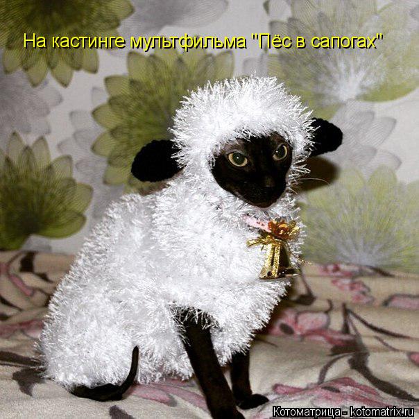 На кастинге мультфильма "Пёс в сапогах"... Котоматрица: На кастинге мультфильма "Пёс в сапогах"