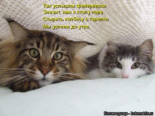 Как услышим фейерверки, Значит, нам к столу пора. Стырить колбасу с тарелки Мы успеем до утра.... Котоматрица: Как услышим фейерверки, Значит, нам к столу пора. Стырить колбасу с тарелки Мы успеем до утра.