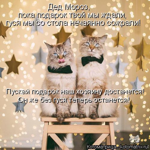 Дед Мороз, пока подарок твой мы ждали, Пускай подарок наш хозяину достанется! Он же без гуся тепер... Котоматрица: Дед Мороз, пока подарок твой мы ждали, Пускай подарок наш хозяину достанется! Он же без гуся теперь останется! гуся мы со стола нечаянно со