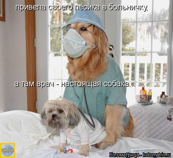 привела своего пёсика в больничку, а там врач - настоящая собака...... Котоматрица: привела своего пёсика в больничку, а там врач - настоящая собака...