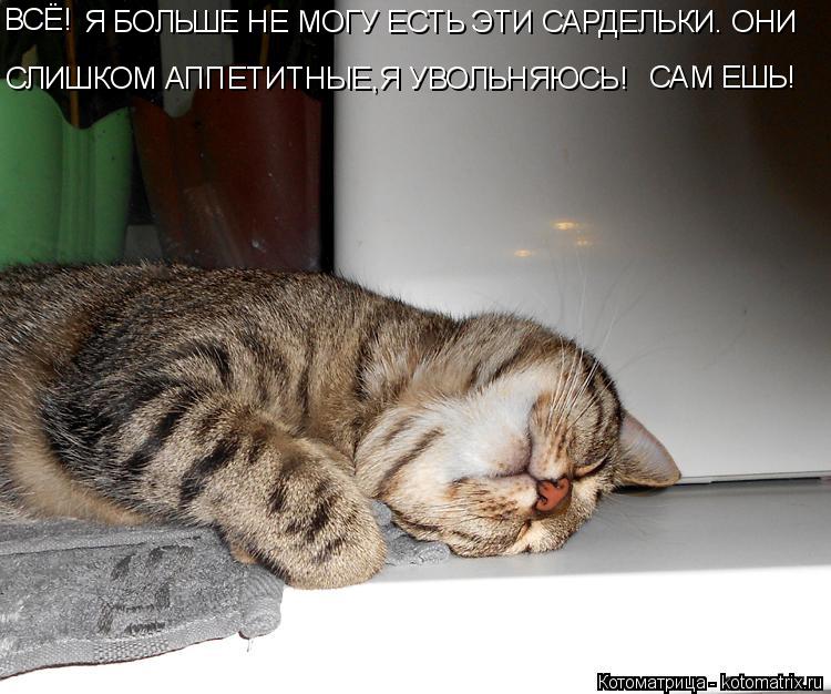 САМ ЕШЬ! ВСЁ! Я БОЛЬШЕ НЕ МОГУ ЕСТЬ ЭТИ САРДЕЛЬКИ. ОНИ СЛИШКОМ АППЕТИТНЫЕ,Я УВОЛЬНЯЮСЬ!... Котоматрица: САМ ЕШЬ! ВСЁ! Я БОЛЬШЕ НЕ МОГУ ЕСТЬ ЭТИ САРДЕЛЬКИ. ОНИ СЛИШКОМ АППЕТИТНЫЕ,Я УВОЛЬНЯЮСЬ!