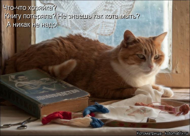 Котоматрица: Что-что хозяйка? Книгу потеряла? Не знаешь как кота мыть? А никак не надо!