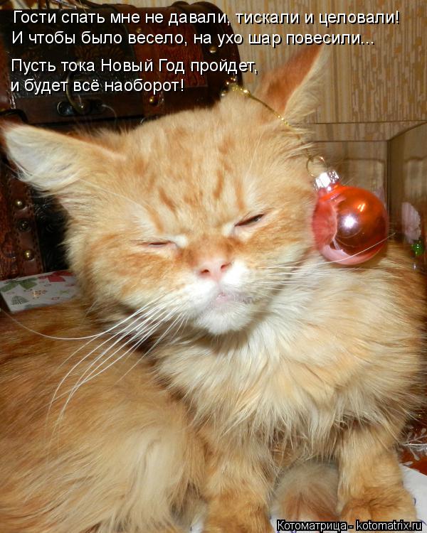 Котоматрица: Гости спать мне не давали, тискали и целовали! И чтобы было весело, на ухо шар повесили... Пусть тока Новый Год пройдет,  и будет всё наоборот!