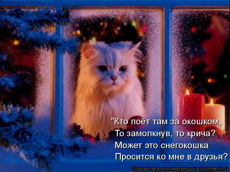 "Кто поёт там за окошком, То замолкнув, то крича? Может это снегокошка Просится ко мне в друзья?... Котоматрица: "Кто поёт там за окошком, То замолкнув, то крича? Может это снегокошка Просится ко мне в друзья?
