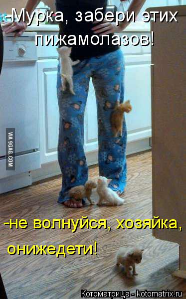 Котоматрица: -Мурка, забери этих  пижамолазов! -не волнуйся, хозяйка,  онижедети!