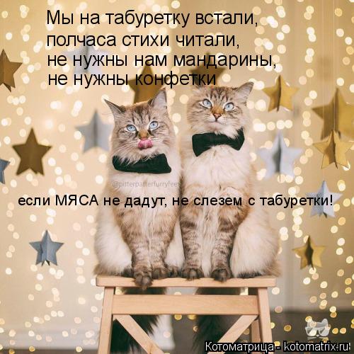 Котоматрица: Мы на табуретку встали, полчаса стихи читали, не нужны нам мандарины,  не нужны конфетки если МЯСА не дадут, не слезем с табуретки!