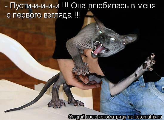 - Пусти-и-и-и-и !!! Она влюбилась в меня с первого взгляда !!!... Котоматрица: - Пусти-и-и-и-и !!! Она влюбилась в меня с первого взгляда !!!