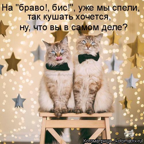 Котоматрица: На "браво!, бис!", уже мы спели, так кушать хочется, ну, что вы в самом деле?
