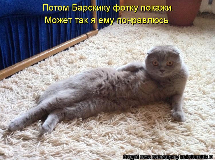 Котоматрица: Потом Барскику фотку покажи. Может так я ему понравлюсь