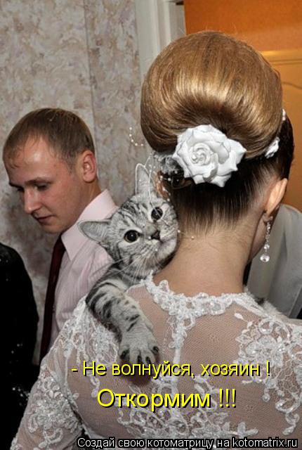 - Не волнуйся, хозяин ! Откормим !!!... Котоматрица: - Не волнуйся, хозяин ! Откормим !!!