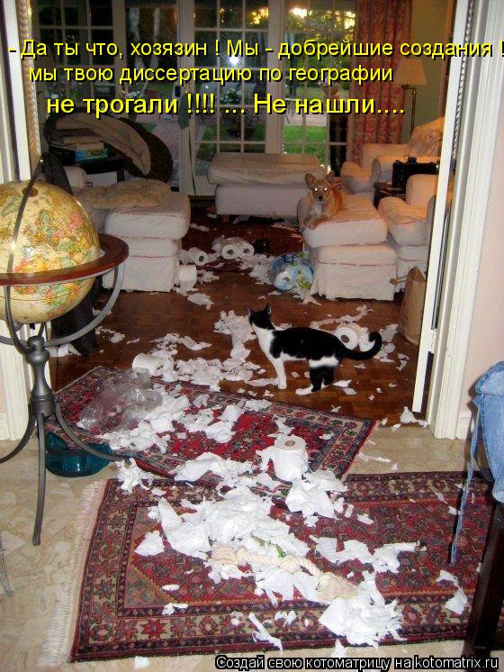 - Да ты что, хозязин ! Мы - добрейшие создания ! мы твою диссертацию по географии не трогали !!!! ..... Котоматрица: - Да ты что, хозязин ! Мы - добрейшие создания ! мы твою диссертацию по географии не трогали !!!! ... Не нашли....
