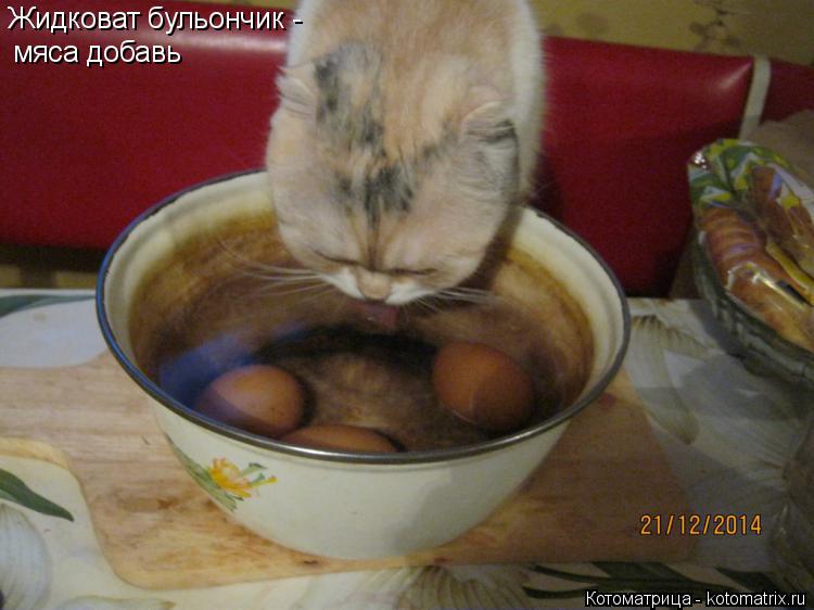 Котоматрица: Жидковат бульончик - мяса добавь