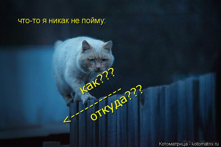 что-то я никак не пойму: <----------- как??? откуда???... Котоматрица: что-то я никак не пойму: <----------- как??? откуда???