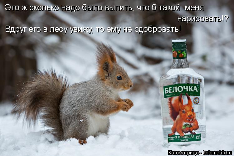 Котоматрица: Это ж сколько надо было выпить, что б такой  меня  нарисовать!? Вдруг его в лесу увижу, то ему не сдобровать!