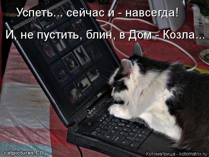 Успеть... сейчас и - навсегда! И, не пустить, блин, в Дом - Козла...... Котоматрица: Успеть... сейчас и - навсегда! И, не пустить, блин, в Дом - Козла...