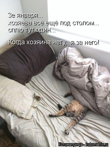 Котоматрица: 3е января...  хозяева всё ещё под столом... а я тут сплю один... красота! сплю тут один... Когда хозяина нету,  я за него!