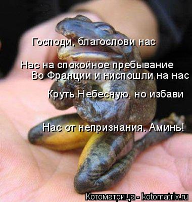 Котоматрица: Нас на спокойное пребывание Господи, благослови нас Во Франции и ниспошли на нас Круть Небесную, но избави Нас от непризнания. Аминь!