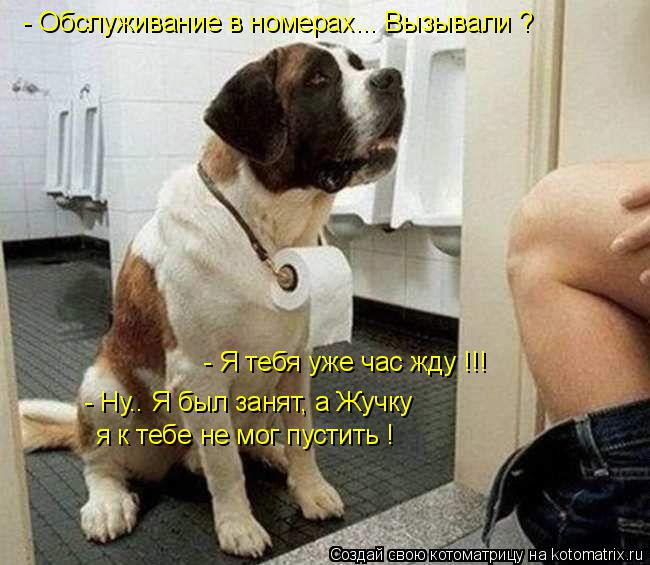 - Обслуживание в номерах... Вызывали ? - Я тебя уже час жду !!! - Ну.. Я был занят, а Жучку я к тебе ... Котоматрица: - Обслуживание в номерах... Вызывали ? - Я тебя уже час жду !!! - Ну.. Я был занят, а Жучку я к тебе не мог пустить !