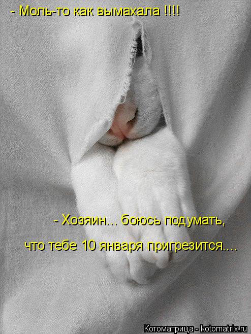 - Моль-то как вымахала !!!! - Хозяин... боюсь подумать, что тебе 10 января пригрезится....... Котоматрица: - Моль-то как вымахала !!!! - Хозяин... боюсь подумать, что тебе 10 января пригрезится....