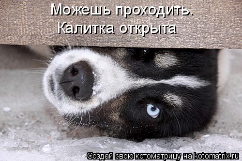 Котоматрица: Можешь проходить. Калитка открыта