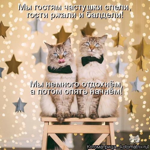 Мы немного отдохнём, а потом опять начнём! Мы гостям частушки спели, гости ржали и балдели!... Котоматрица: Мы немного отдохнём, а потом опять начнём! Мы гостям частушки спели, гости ржали и балдели!