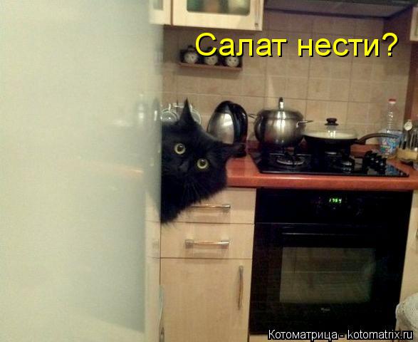 Котоматрица: Салат нести?