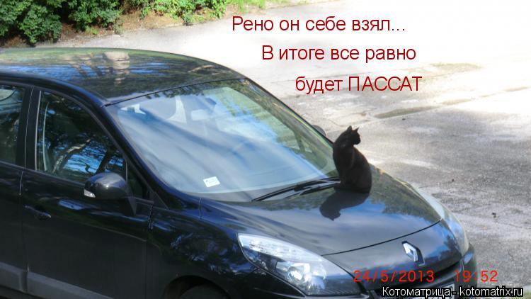 Котоматрица: Рено он себе взял... В итоге все равно будет ПАССАТ