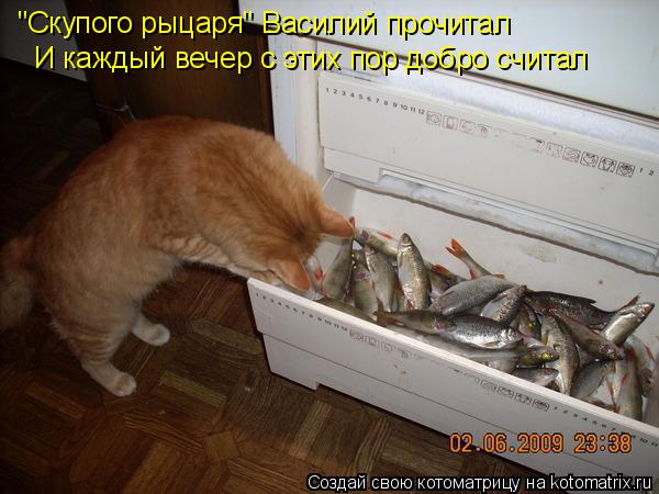 Котоматрица: "Скупого рыцаря" Василий прочитал И каждый вечер с этих пор добро считал