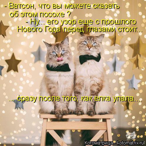 Котоматрица: - Ватсон, что вы можете сказать  об этом посохе ? - Ну... его узор еще с прошлого  Нового Года перед глазами стоит... ... сразу после того, как елка 