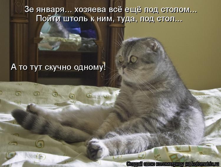 Котоматрица: 3е января... хозяева всё ещё под столом... Пойти штоль к ним, туда, под стол... А то тут скучно одному!