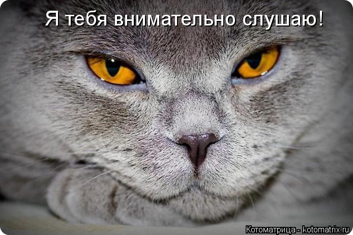 Я тебя внимательно слушаю!... Котоматрица: Я тебя внимательно слушаю!