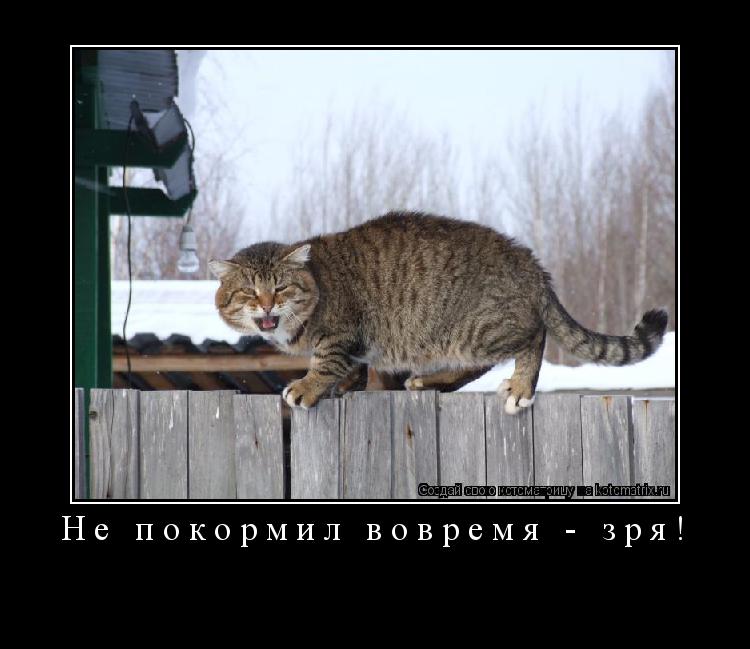 Не покормил вовремя - зря! ... Котоматрица: Не покормил вовремя - зря!