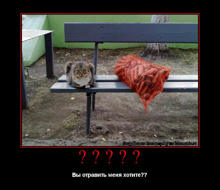 Котоматрица: ????? Вы отравить меня хотите??