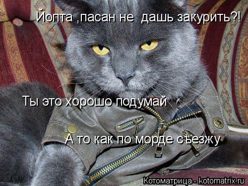 Котоматрица: Йопта ,пасан не  дашь закурить?! Ты это хорошо подумай А то как по морде съезжу