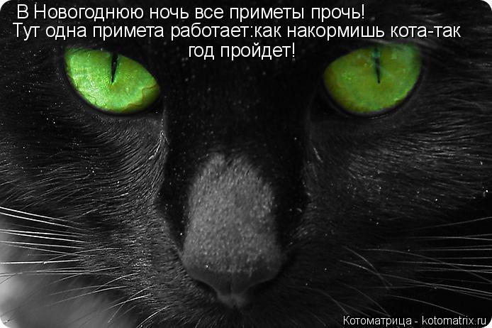 В Новогоднюю ночь все приметы прочь! Тут одна примета работает:как накормишь кота-так год пройдет!... Котоматрица: В Новогоднюю ночь все приметы прочь! Тут одна примета работает:как накормишь кота-так год пройдет!