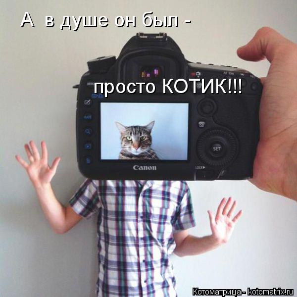А в душе он был - просто КОТИК!!!... Котоматрица: А в душе он был - просто КОТИК!!!