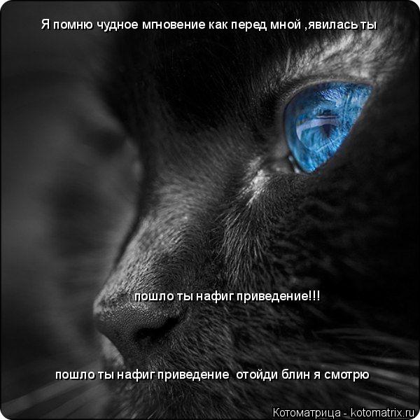 Я помню чудное мгновение как перед мной ,явилась ты пошло ты нафиг приведение отойди блин я смотрю ... Котоматрица: Я помню чудное мгновение как перед мной ,явилась ты пошло ты нафиг приведение отойди блин я смотрю пошло ты нафиг приведение!!!