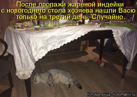 После пропажи жареной индейки с новогоднего стола хозяева нашли Васю только на третий день. Случайно... Котоматрица: После пропажи жареной индейки с новогоднего стола хозяева нашли Васю только на третий день. Случайно.