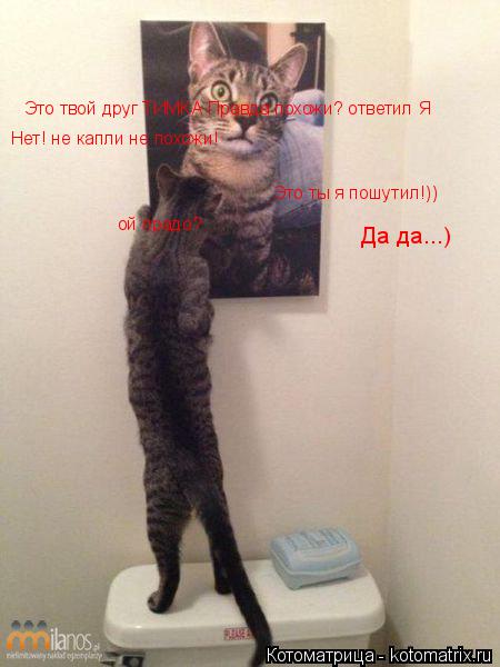Котоматрица: Это твой друг ТИМКА Правда похожи? ответил Я Нет! не капли не похожи! Это ты я пошутил!))  ой прадо?  Да да...)
