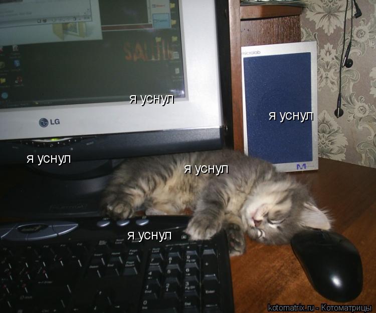я уснул я уснул я уснул я уснул я уснул... Котоматрица: я уснул я уснул я уснул я уснул я уснул