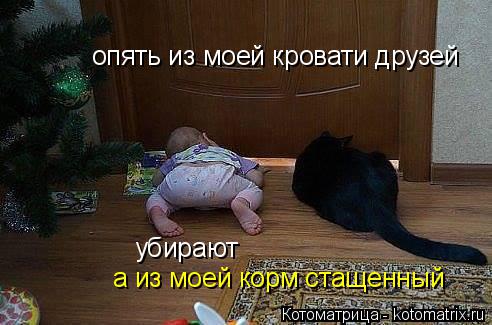 опять из моей кровати друзей убирают а из моей корм стащенный... Котоматрица: опять из моей кровати друзей убирают а из моей корм стащенный